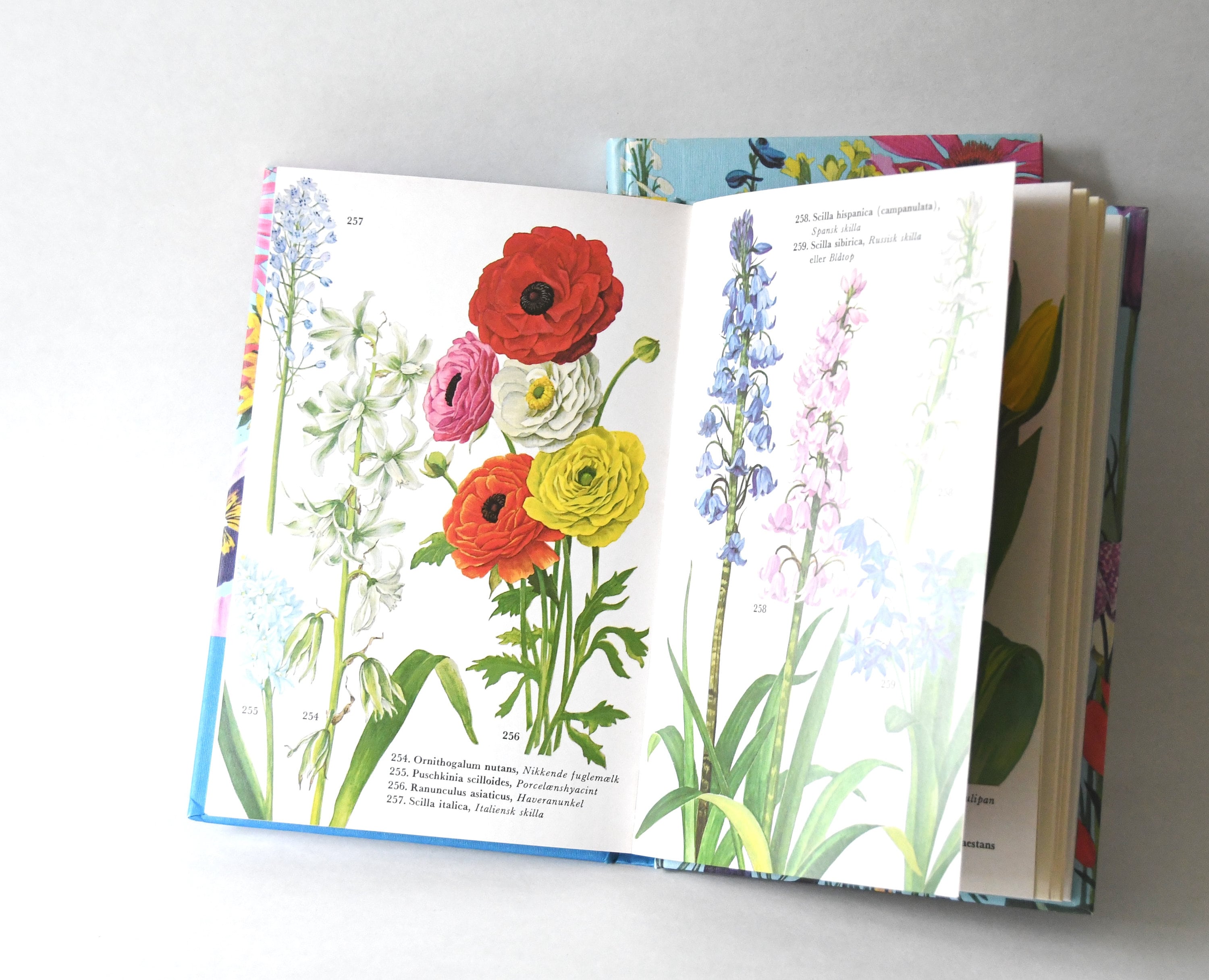 Vintage Botanical Illustration: An Image Archive for Artists