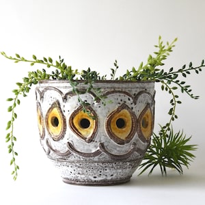 May include: A ceramic planter with a white speckled finish, featuring a repeating pattern of yellow and brown oval shapes. The planter is filled with green trailing and upright plants, creating a decorative display.