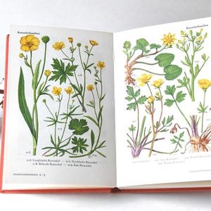 Vintage bloemenboek gids uit de jaren 60. Scandinavisch natuurboek. Mooie kleurenillustraties. Cadeau voor kunstenaar - Creatief cadeau-idee