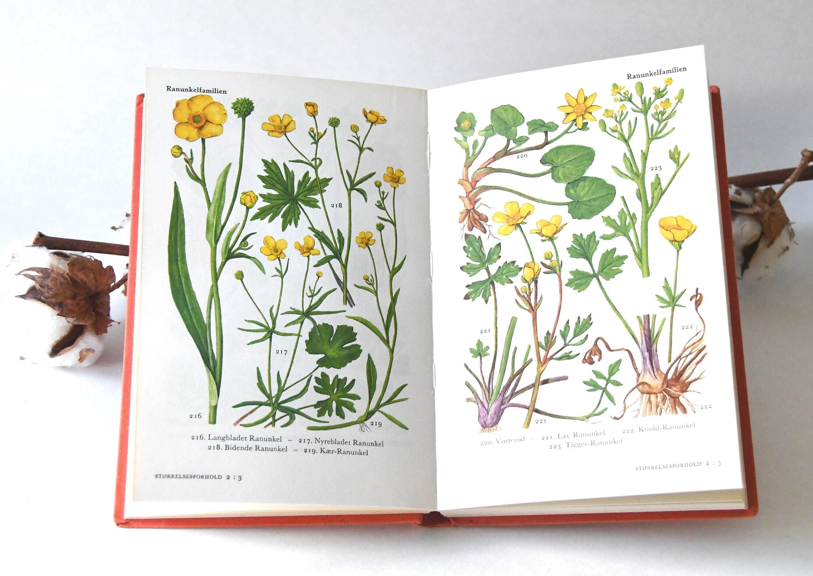 Vintage Flower Book 1960s Guide. Scandinavian Nature Book. Lovely