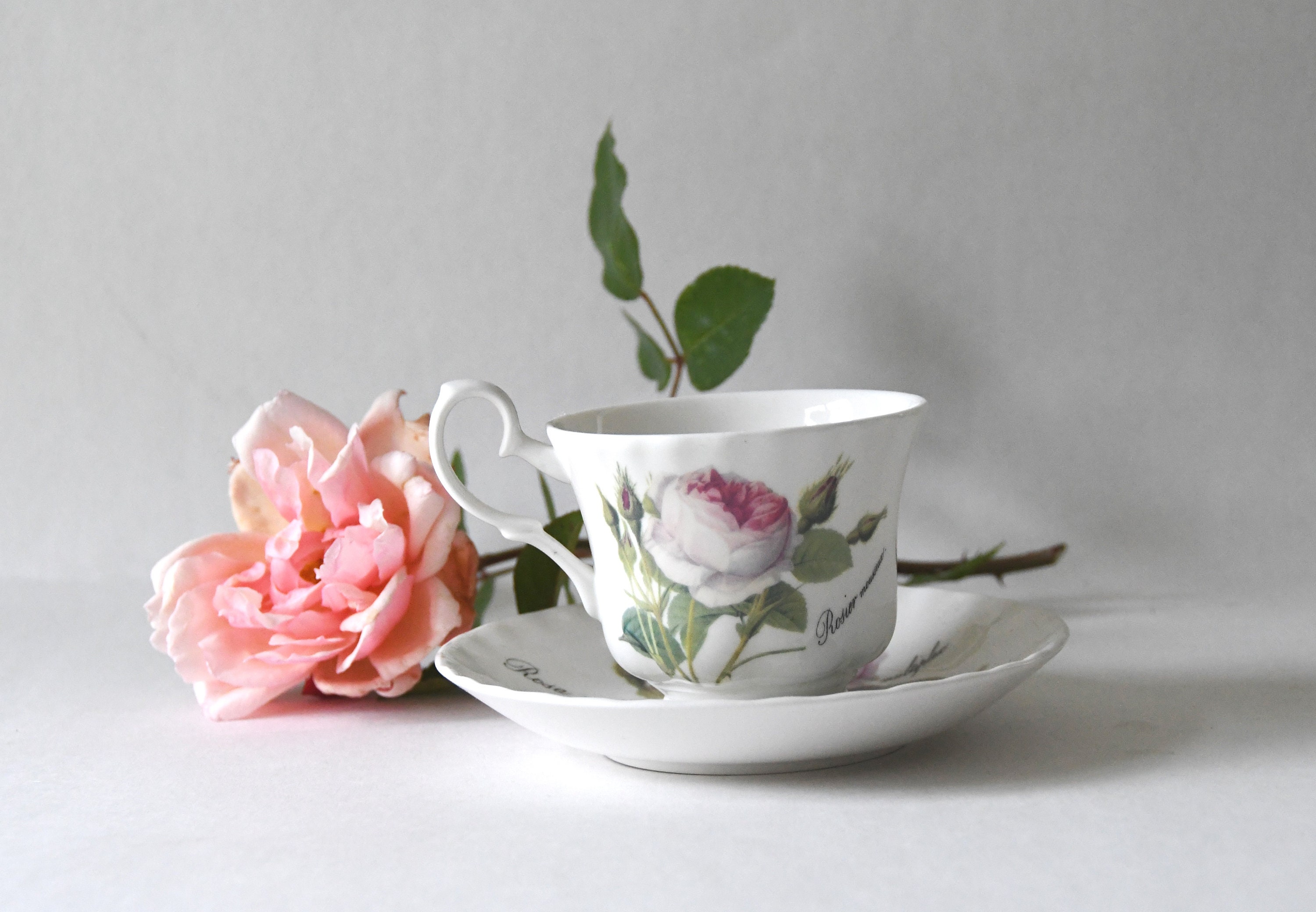 Tasse Et Soucoupe Roy Kirkham Redoute Rose - Porcelaine Os - Motif Roses Traditionnel - 450ml
