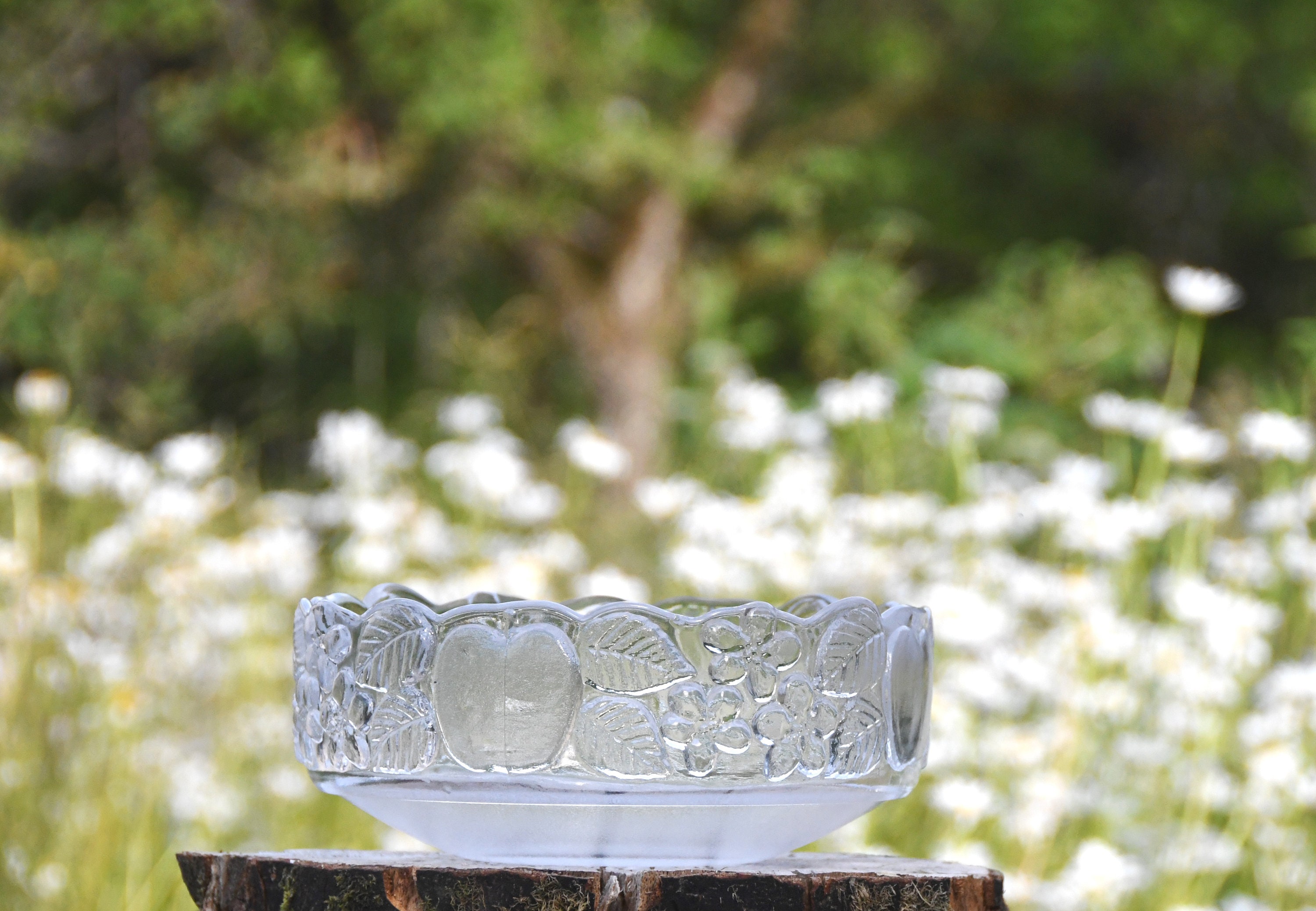  Krona Lisa Larson クリスタルボウル フルーツ Lisa Larson Crystal Bowl, Fruit & Berries Design, Royal Krona