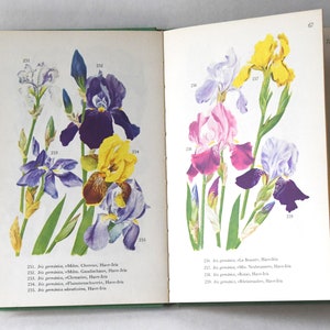 Guide du livre de fleurs vintage des années 1960. Nature scandinave. Belles illustrations en couleur de fleurs de jardin. Cadeau pour artiste - Cadeau créatif