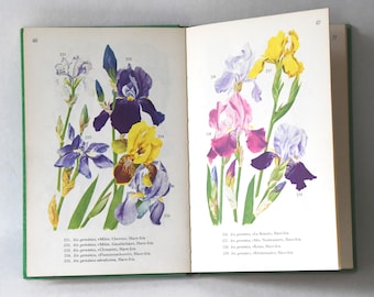 Vintage Flower book 1960s guide. Scandinavian Nature. Lovely color illustrations of Garden Flowers. Gift for artist - Creative gift