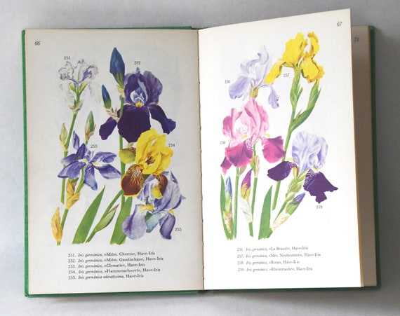 Flower Book 1960s Guide. Scandinavian Nature. Lovely Color