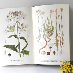 Libro Vintage Flower. Guida anni '60. Scandinavian Nature Guide. 150 splendide illustrazioni a colori. Regalo per artista - Regalo creativo