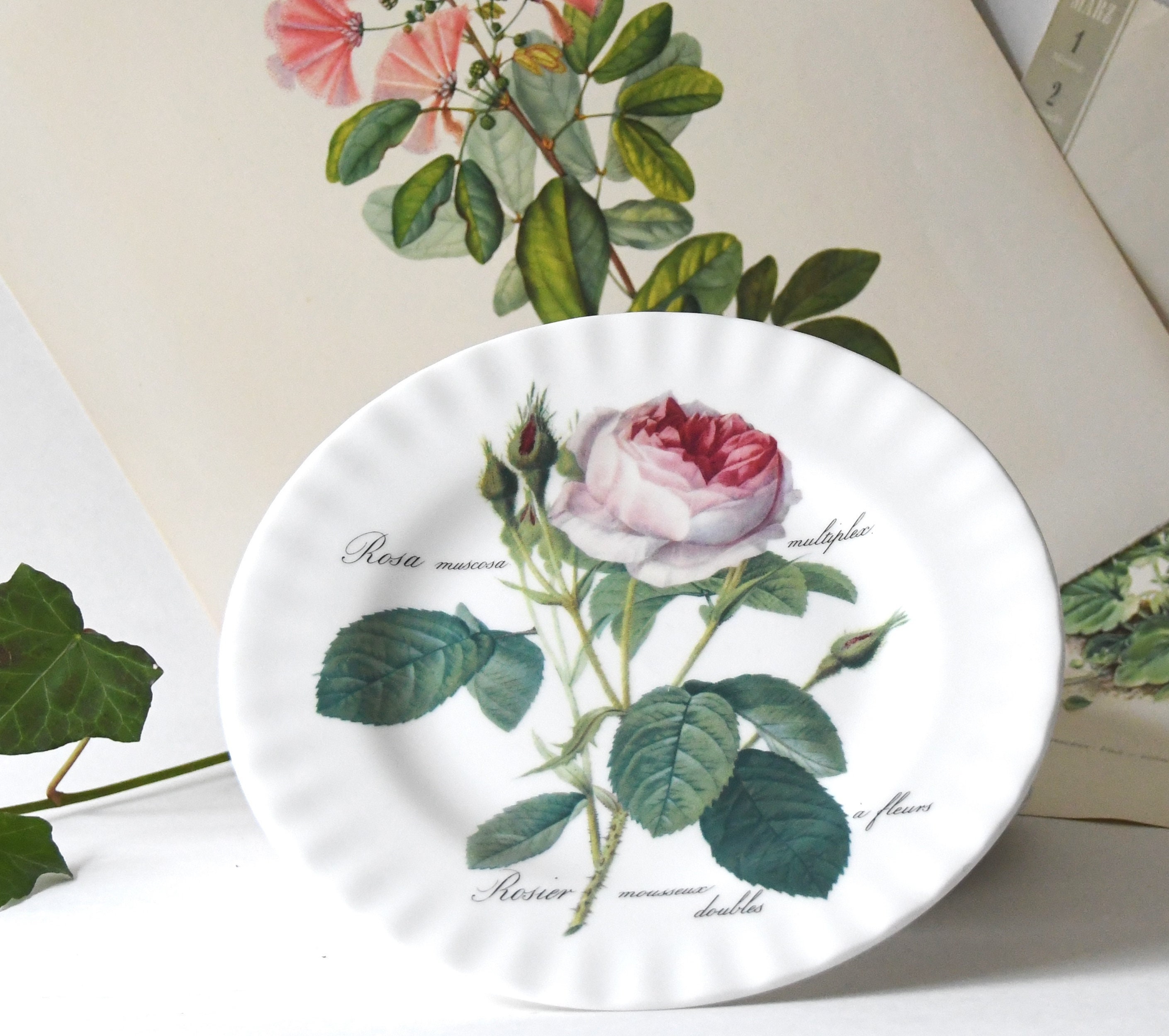 Roy kirkham plate - Etsy 日本