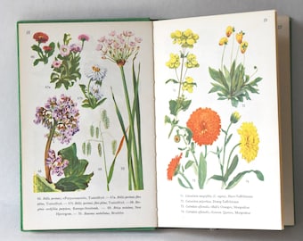 洋書 COLLINS GEM GUIDE GARDEN FLOWERS ※希少 洋書 COLLINS GEM GUIDE GARDEN FLOWERS ※希少 本