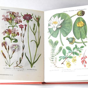 Vintage bloemenboek gids uit de jaren 60. Scandinavisch natuurboek. Mooie kleurenillustraties. Cadeau voor kunstenaar - Creatief cadeau-idee