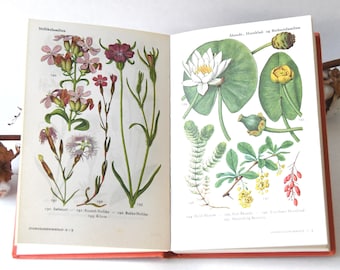 Vintage Flower book 1960s guide. Scandinavian Nature Book. Lovely color illustrations. Gift for artist - Creative gift idea