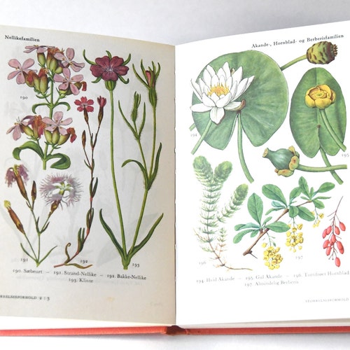 Vintage Flower Book 1960s Guide. Scandinavian Nature Book. Lovely