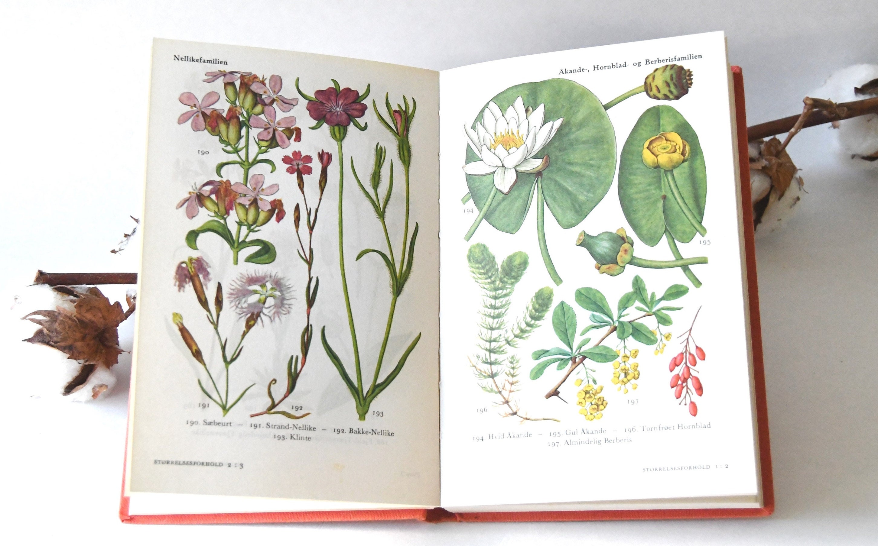 Vintage Flower Book 1960s Guide. Scandinavian Nature Book. Lovely