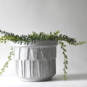 May include: A white ceramic planter with a textured design, filled with a green succulent plant.