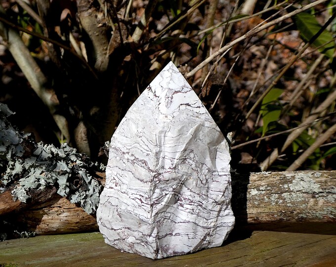 Rough Zebra Jasper Crystal with Polished Point Large Free-Standing Zebra Jasper Tower Brown Zebra Jasper Point