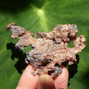 May include: A hand holds a piece of raw copper ore against a green leaf background. The copper has a rough, textured surface with a mix of reddish-brown and gray colors. The natural mineral formation is irregularly shaped.