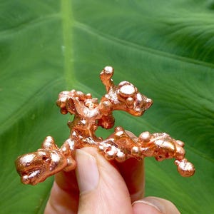 May include: A raw copper specimen featuring a metallic, reddish-brown luster with a branching, irregular, and nodular structure. The surface is highly reflective, displaying a complex, organic, and textured formation with multiple rounded protrusions.