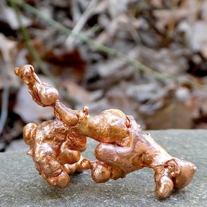 May include: A close-up of a copper-colored, organic-shaped object with a textured surface. The object has multiple bulbous protrusions and is resting on a gray stone surface. The background is blurred with brown leaves.