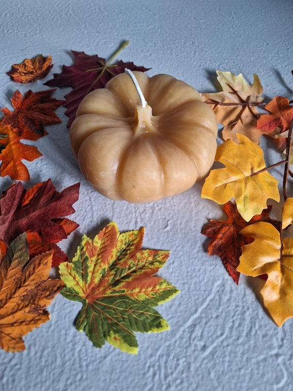 beeswax pumpkin candle hand poured with 1 wick