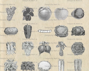 Clipart de jardim vintage | 60 imagens PNG e JPG de frutas e vegetais para impressão em 2 folhas (arquivos) | Download instantâneo Uso comercial OK | VC32