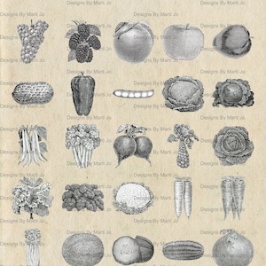 Clipart de jardim vintage | 60 imagens PNG e JPG de frutas e vegetais para impressão em 2 folhas (arquivos) | Download instantâneo Uso comercial OK | VC32
