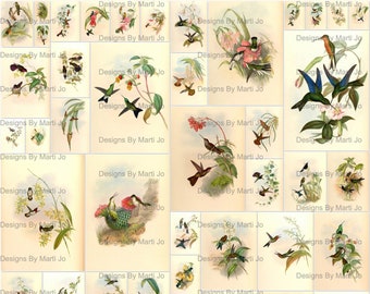 Vintage Hummingbird ATC Cards | 50 Hummingbird 2.5 x 3.5 Jpg Files | BONUS: Two 8.5 x 11 Jpgs AND Pdfs Of All Hummingbirds (5x5) | VA21