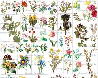 Botanical Flower Stickers