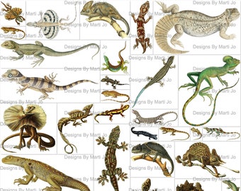 画材 Lizardrite Genuine 画材 Lizardrite Genuine Gator Reptilion 8-Piece Ceramic Alumina 80