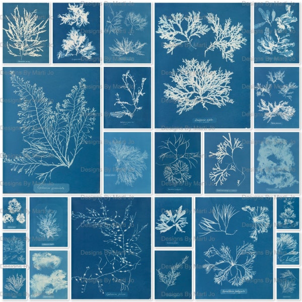 Vintage 1843 Cyanotype Algae Junk Journal Pages | 24 Floral Looking Collage Pages | Cyanotype Digital Download | Commercial Use OK | JJ87