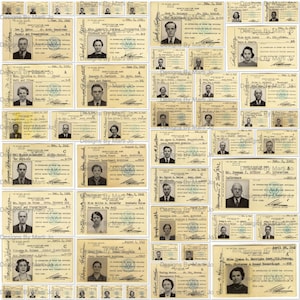 Vintage Nationaal Archief Identiteitskaarten 1941, set 1 | 50 afdrukbaar identiteitsbewijs met overheidsfoto JPG | BONUS: één 8,5 x 11 van alle afbeeldingen (5 x 10) | VP67