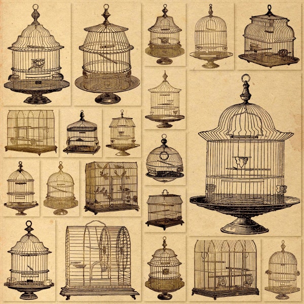 Vintage Bird Cage Clipart | 20 Printable Vintage Bird Cage PNG Files | BONUS: One 8.5 x 11 Jpg Of All Images (4x5) | VA23