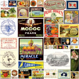 Vintage fruitetikettenset 2 | 40 afdrukbare vintage voedseletiketten | BONUS: één 8,5 x 11 jpg en pdf van alle afbeeldingen (5 x 8) | VL49
