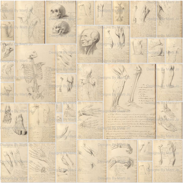 Vintage Anatomy Sketchbook Drawings | 39 Printable Anatomical Sketches | 5.8 x 8.3 Inch Junk Journal Pages | Instant Download | JJ112