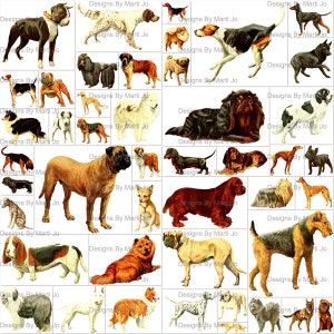 Vintage Fussy Schnitt Hundebilder | 45 druckbare Vintage Hund JPG-Dateien | BONUS: Zwei 8.5 x 11 JPGs Aller Hunde (5x5) | Sofortdownload | VA8