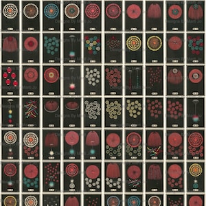 Afdrukbare vintage Japanse vuurwerkcatalogusvoorbeelden | Vintage Japanse vuurwerkclipart | Direct downloaden | Commercieel gebruik OK | VC29
