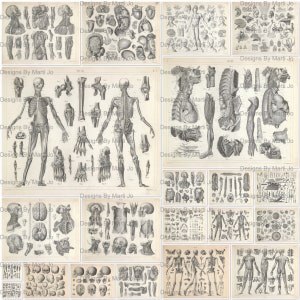Vintage anatomietekeningen | 21 vintage afdrukbare anatomische gravures medische ongewenste dagboek JPG-pagina's | Direct downloaden | JJ109
