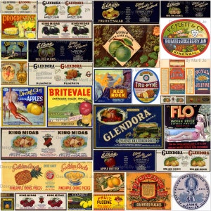 Vintage fruitetikettenset 1 | 33 afdrukbare vintage voedseletiket-jpg's | BONUS: één 8,5 x 11 jpg en pdf van alle afbeeldingen (5 x 7) | VL14