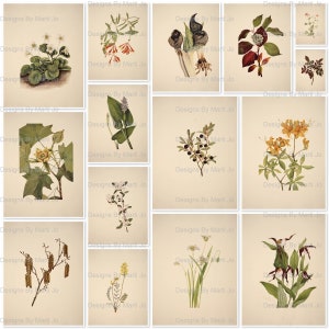 Vintage Floral Junk Journal Starter Paper | 15 8.5 x 11 Inch Printable Antique Flower Junk Journal JPG Pages | Commercial Use OK | JJ98