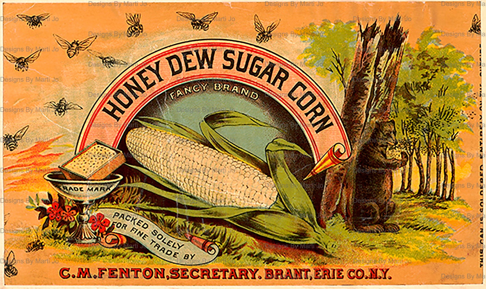 Vegetable Vintage Can Labels Kit 1 | 60 Printable Vintage Food Labels ...