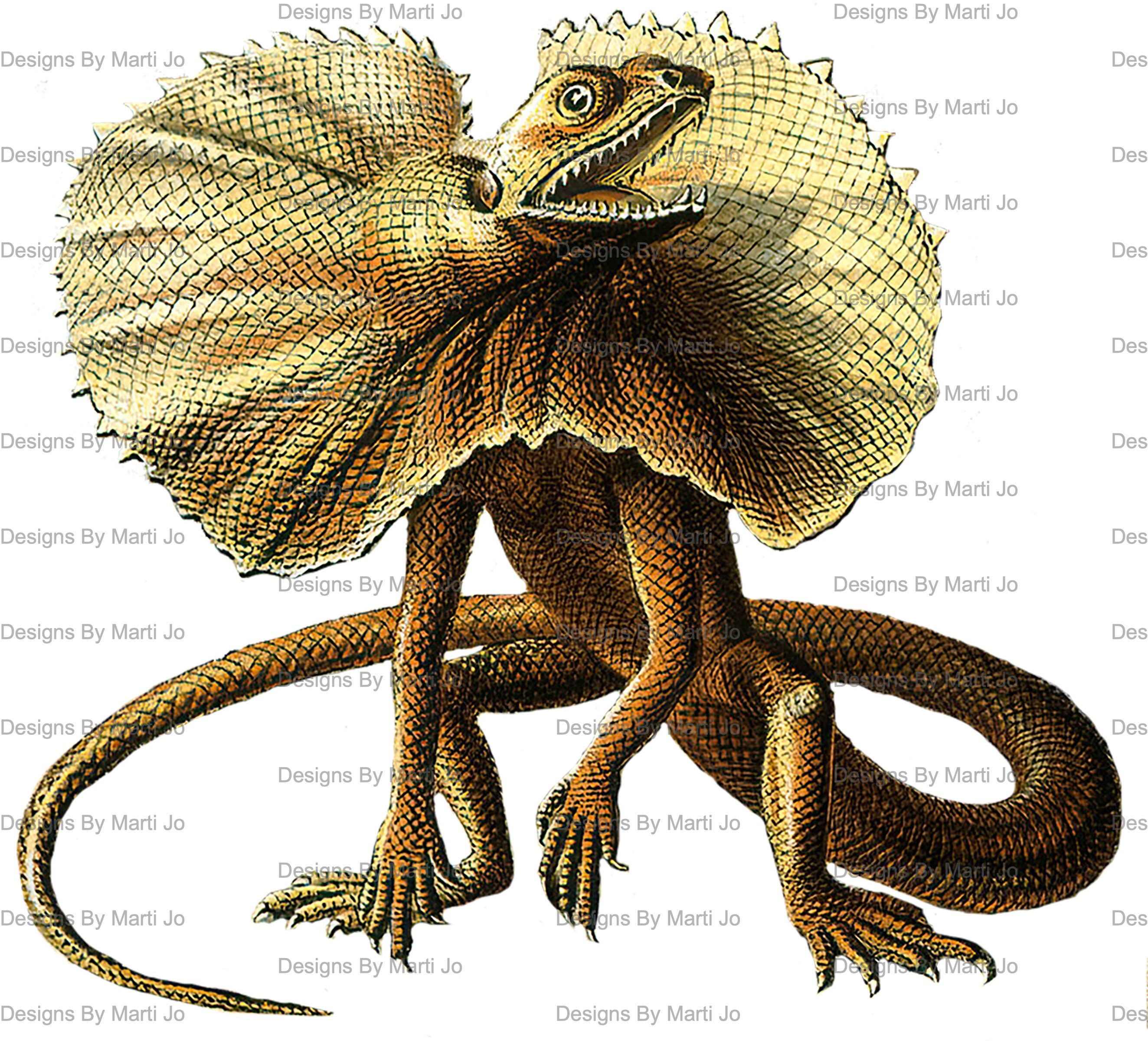 Vintage Digital Lizard Clipart | 36 Printable Vintage Reptile PNG