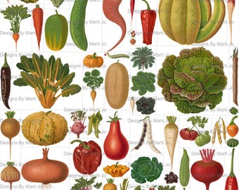 Paquete de 2 imágenes prediseñadas de verduras vintage (60 PNG) con cortes finos, efímeras botánicas antiguas de cocina para diarios basura y álbumes de recortes / VC172