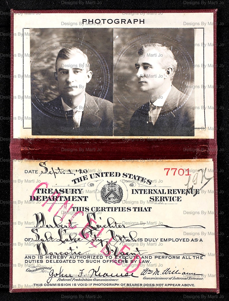 Vintage federale agent identiteitskaarten | 50 afdrukbare jpg's met overheidsfoto-ID's | Vintage identiteitskaart | BONUS: twee 8,5 x 11 jpg/pdf (5 x 5) | TC6 afbeelding 8