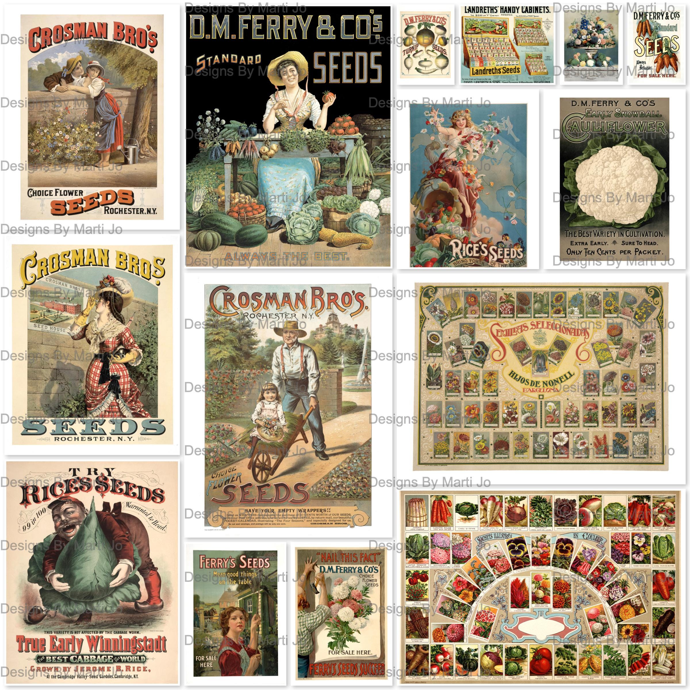 Vintage Seed Advertisement Prints – Antique Farmhouse Garden Art