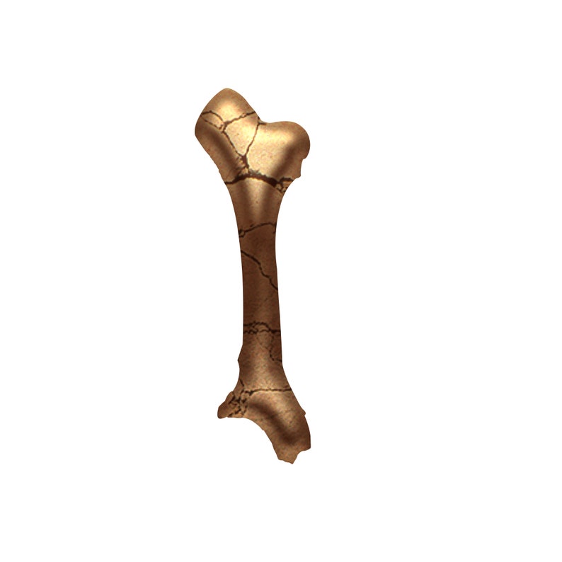 Bone Letters Digital Clipart Printable Bone Alphabet Etsy