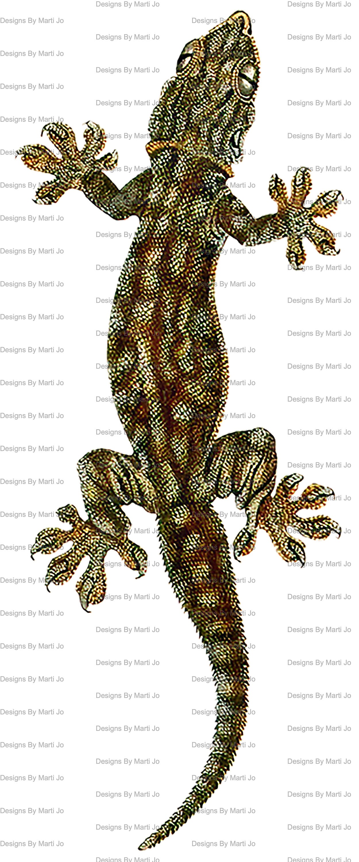 Vintage Digital Lizard Clipart | 36 Printable Vintage Reptile PNG