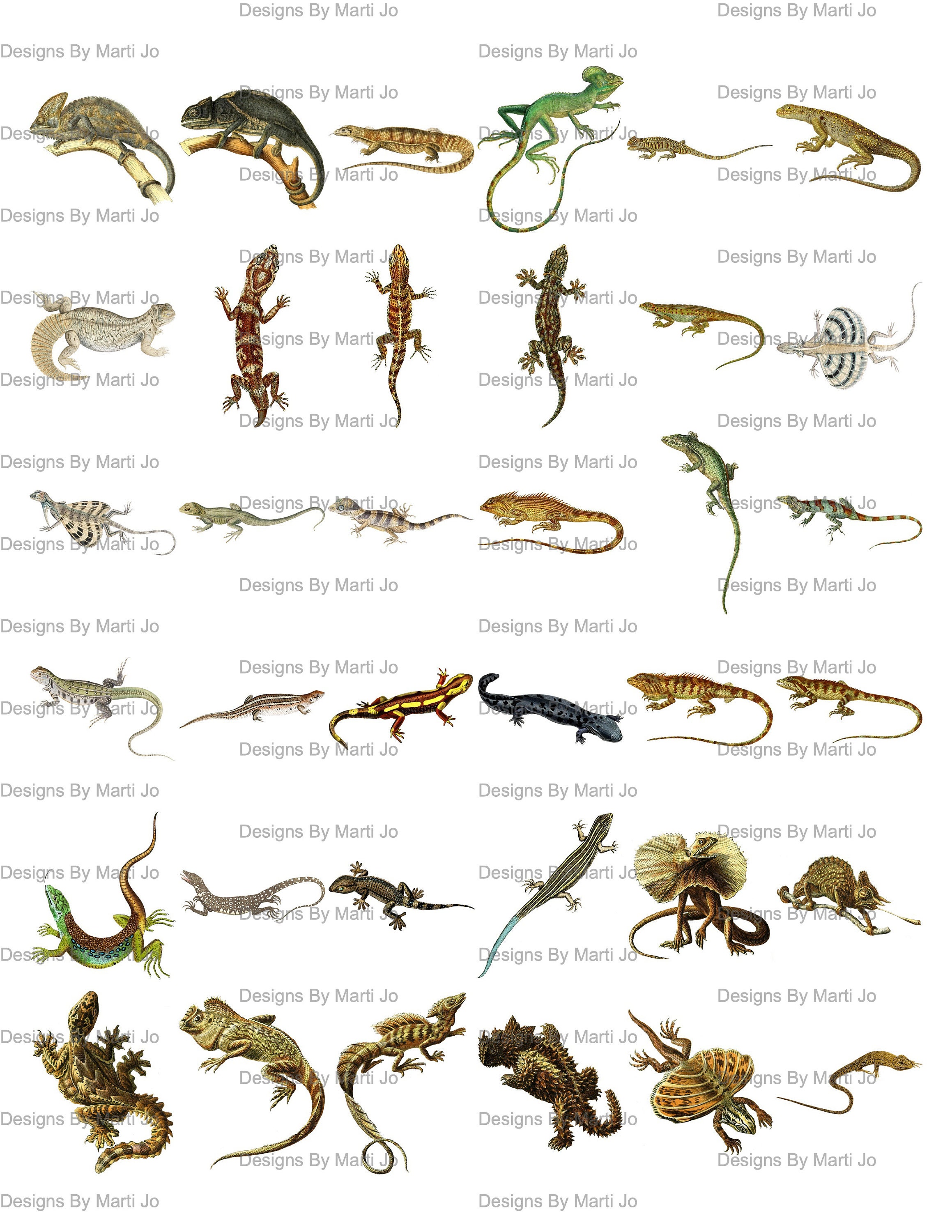 Vintage Digital Lizard Clipart | 36 Printable Vintage Reptile PNG
