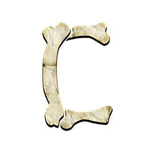Bone Letters PNG Clipart | Printable Bone Alphabet | Instant Download ...