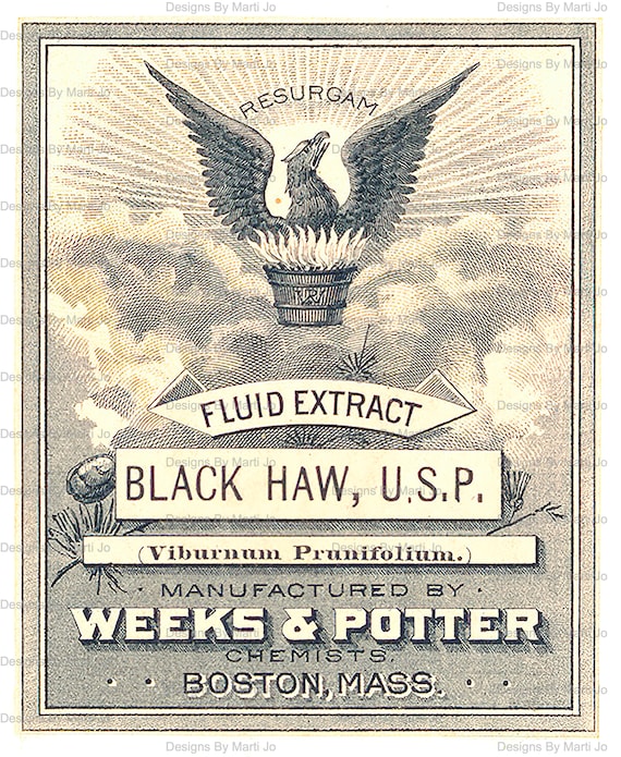 Vintage Old Medicine Labels Kit 3 | 50 Printable Vintage