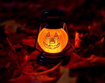 Halloween Lantern 8x10 Matte Photo Print