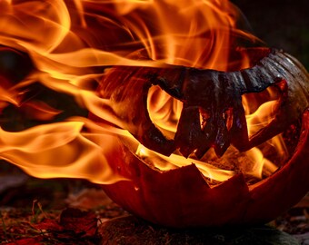 Jack O Lantern Embers 8x12 Matte Halloween Photo Print