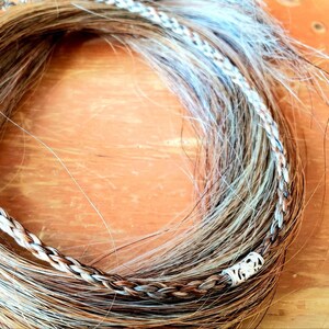 Custom Horse Hair Necklace/Choker, Hypoallergenic Metal, Adjustable, Custom Size